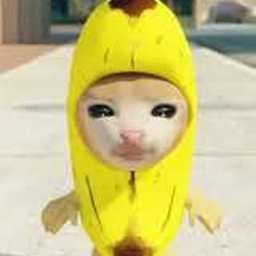 Banana Cat Charity